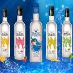 Pandora Ignites Again! Avatar 3 Fire and Ash Release Date & Full Breakdown