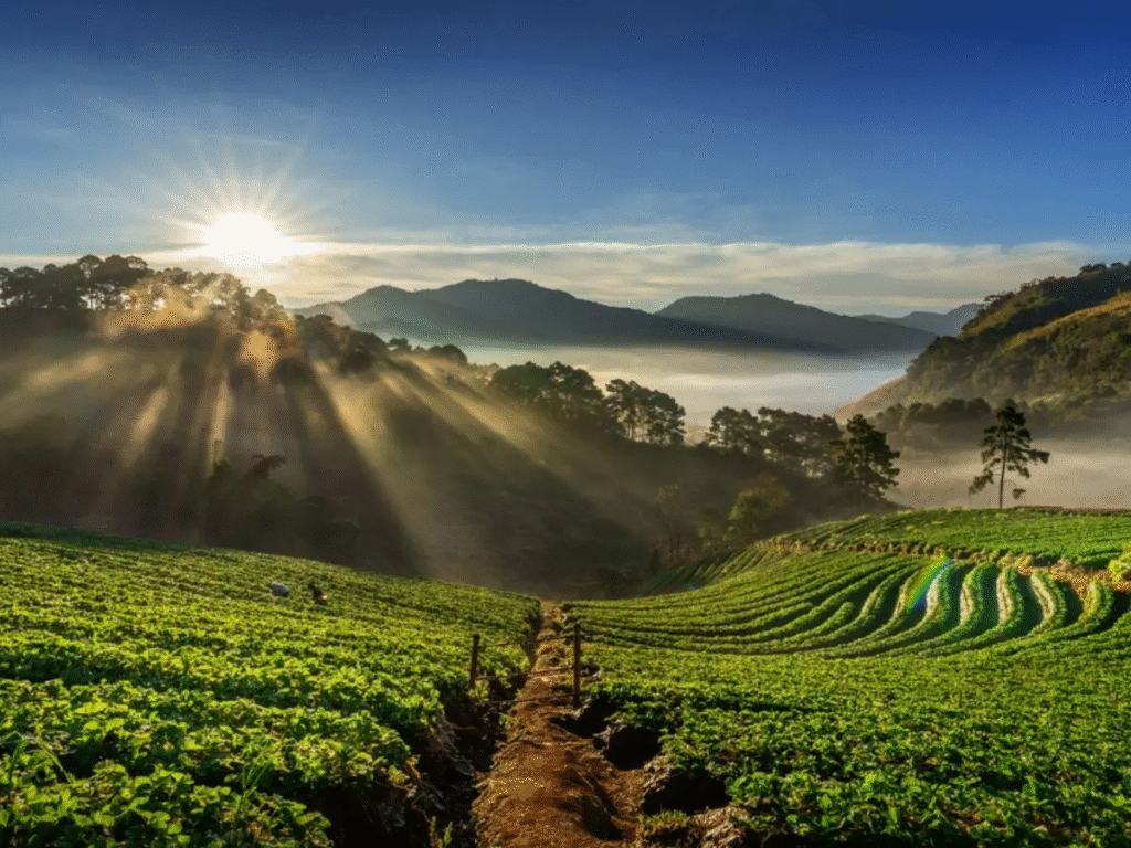 Coorg